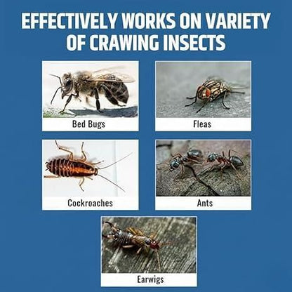 WinterPro Pest Kit Advanced Protection Powder (Pack of 2) 100gm Each